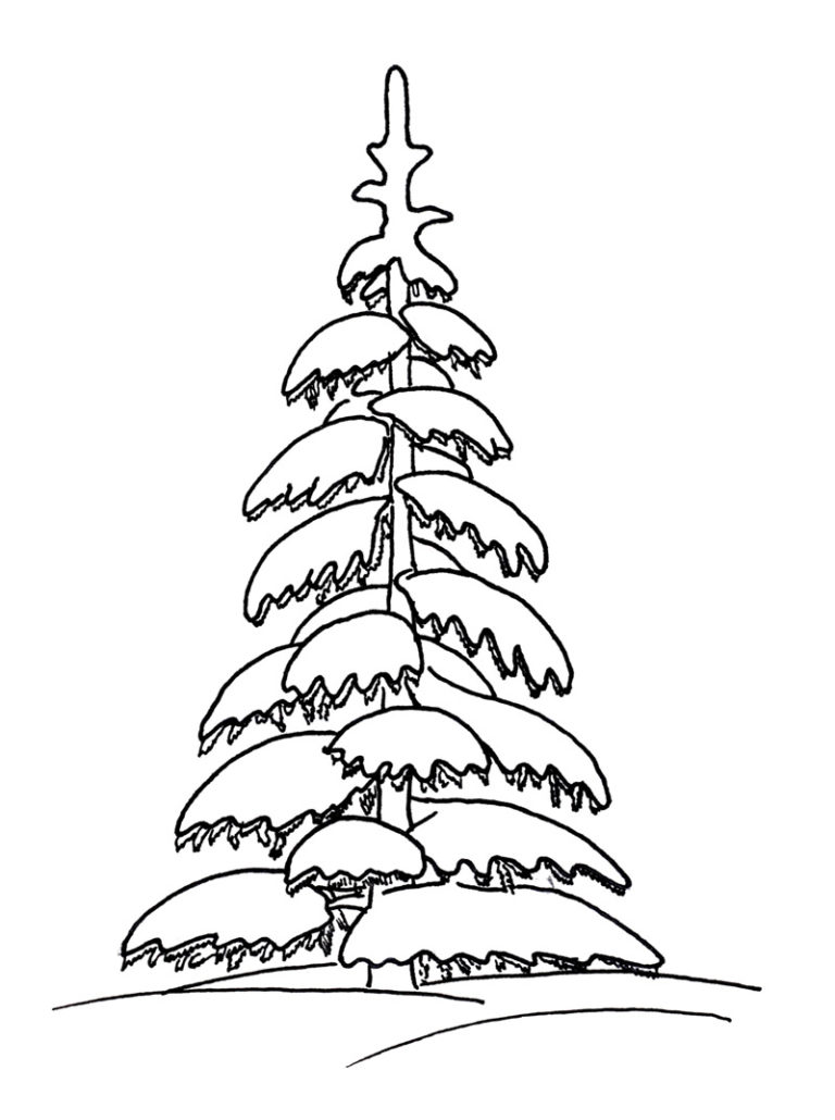 drawing of snowy tree Line art illustrations