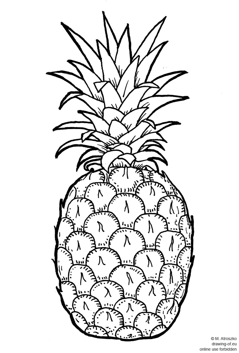 pineapple drawing