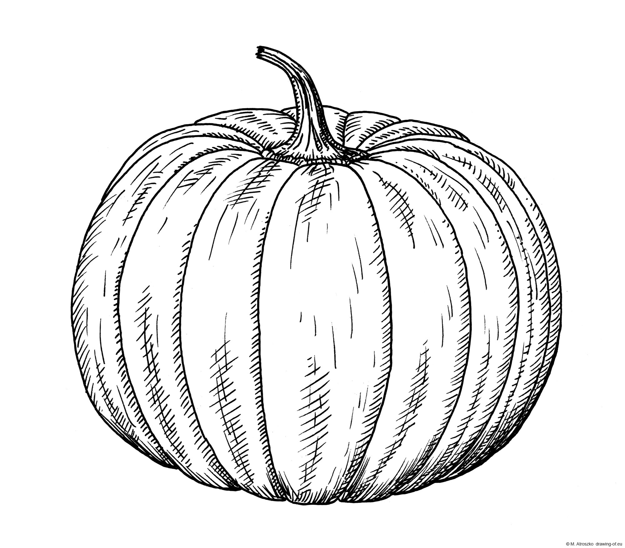 drawing of pumpkin