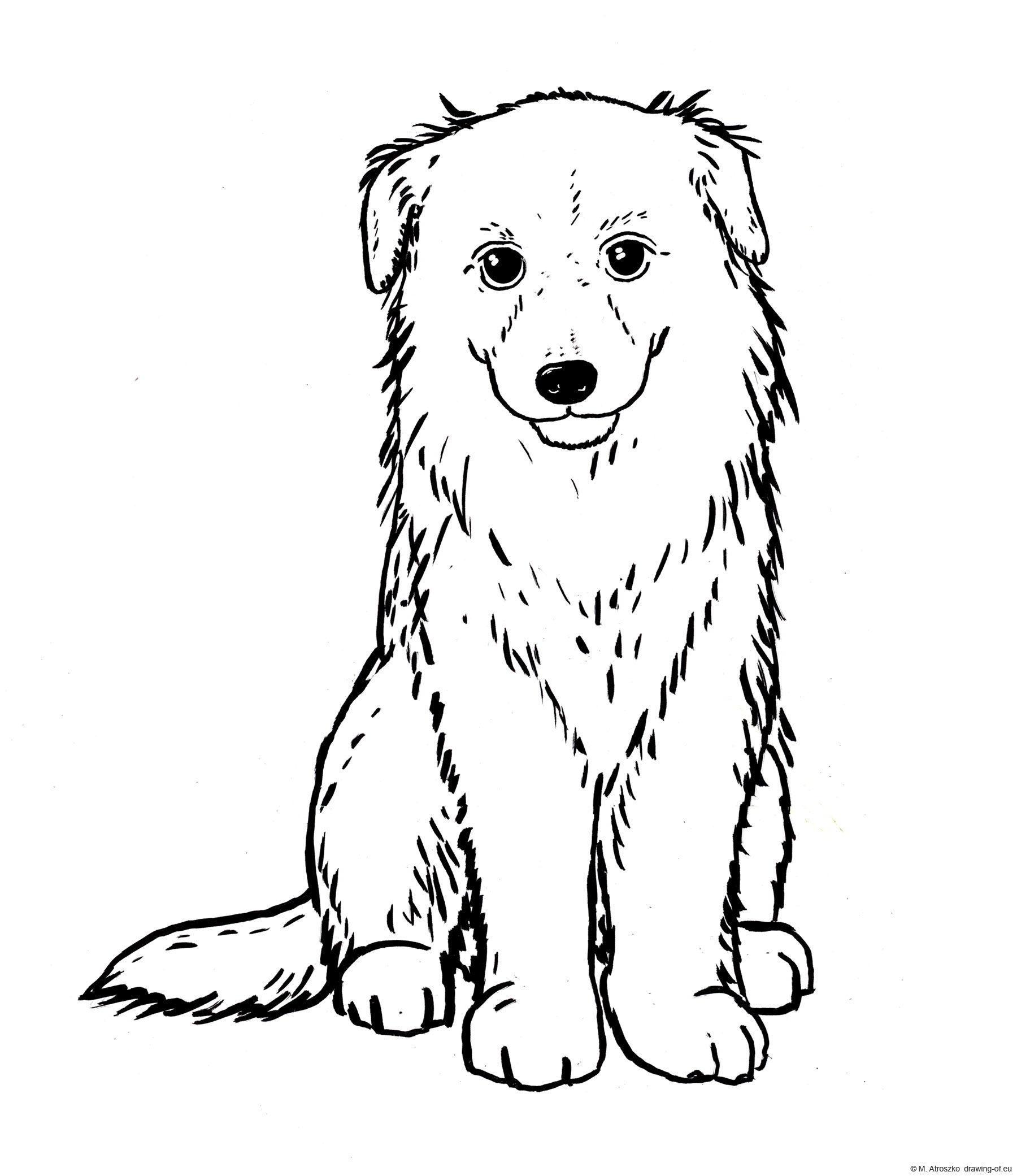 drawing of puppy