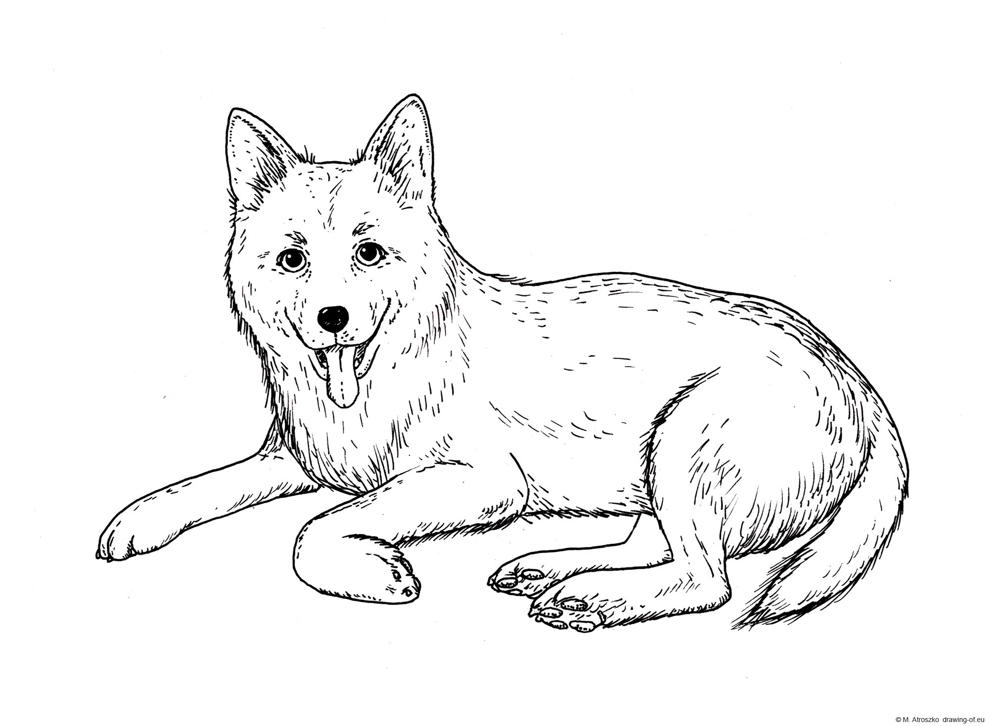 drawing of sheepdog
