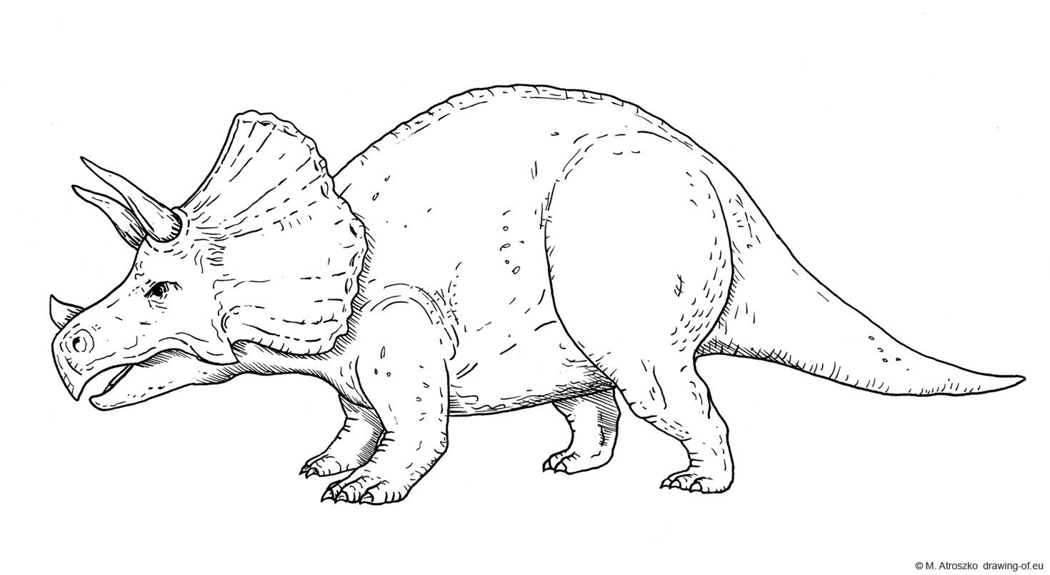 drawing of triceratops