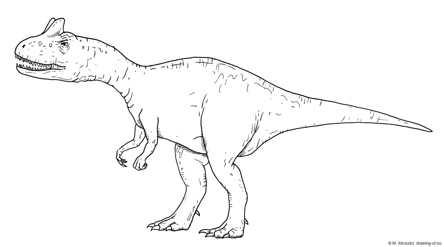 Drawing of Allosaurus