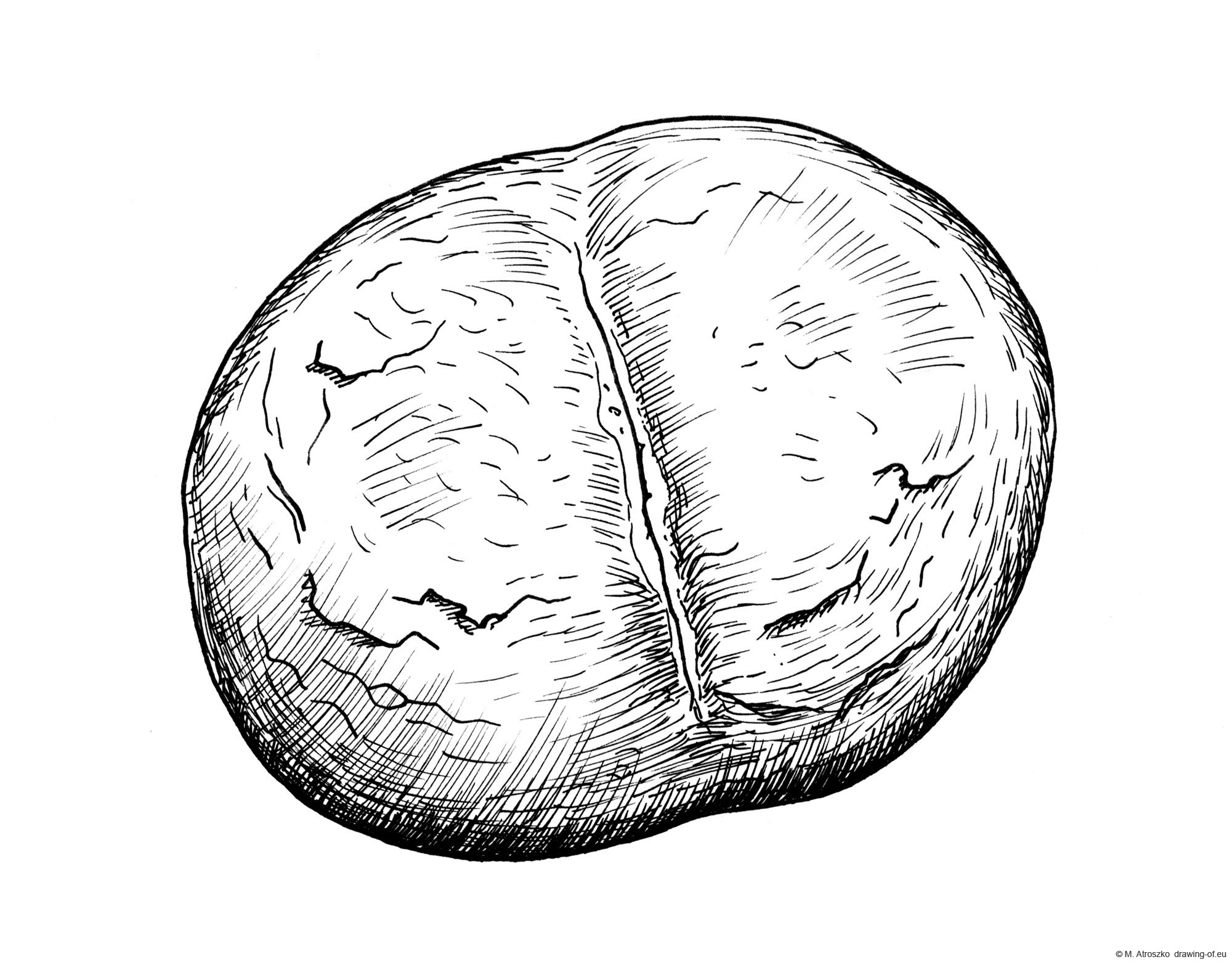 drawing of bun bread