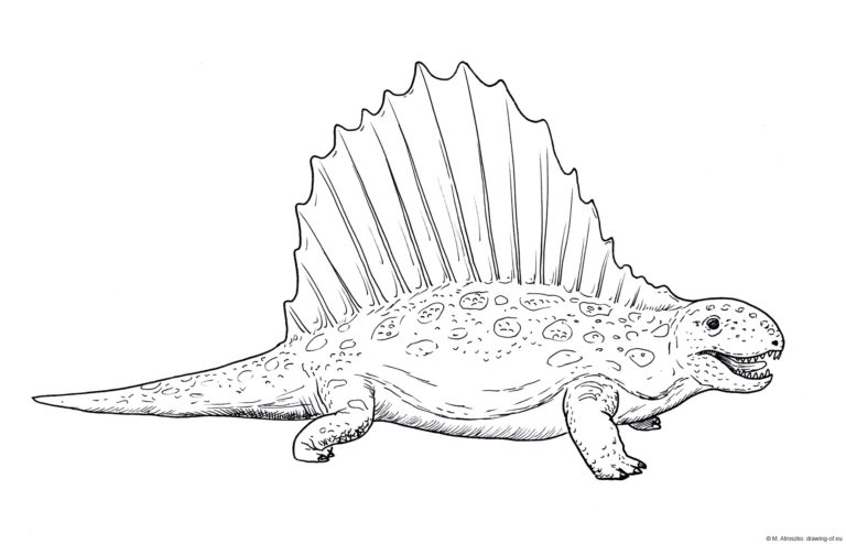 dimetrodon coloring page