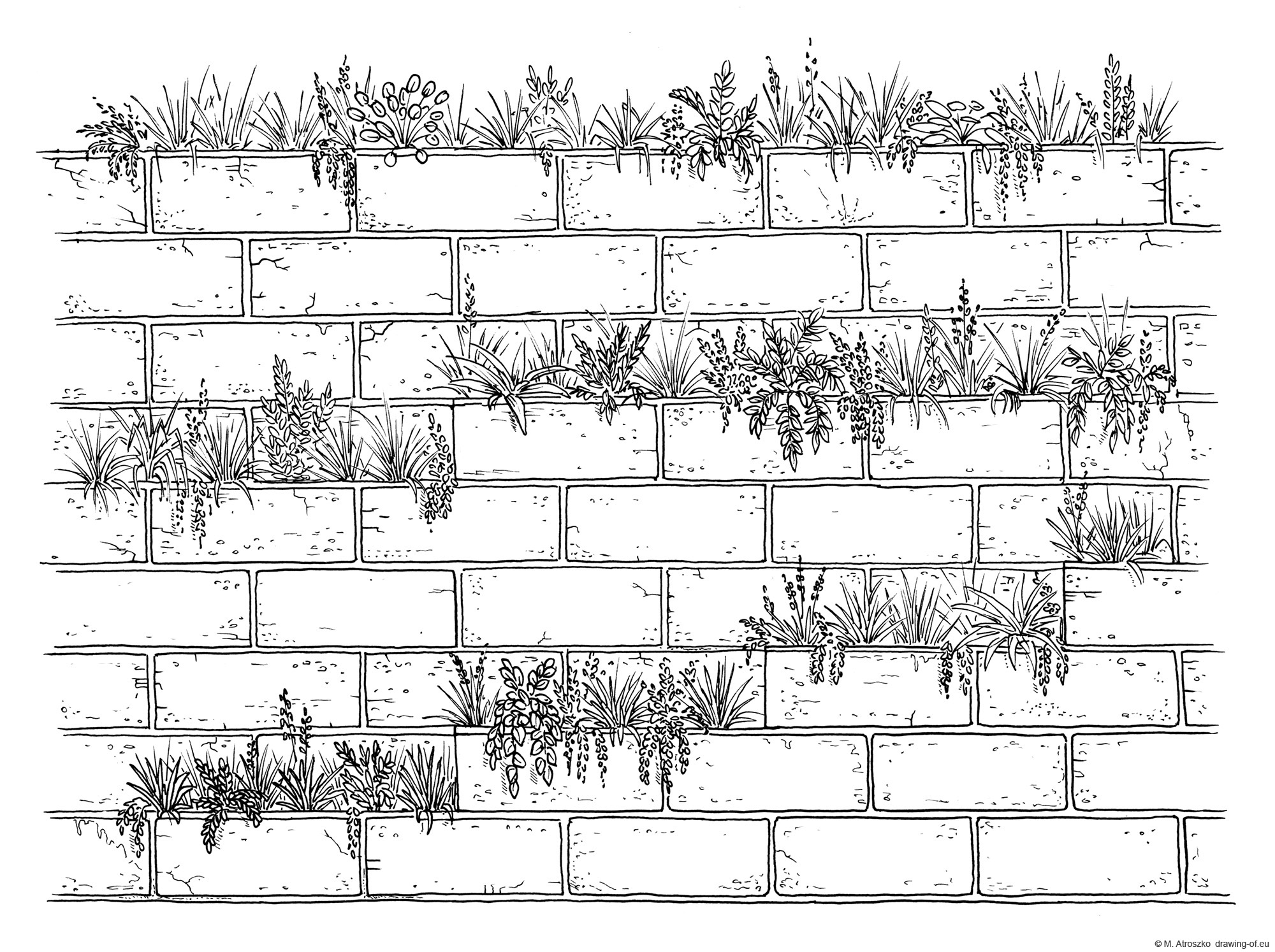 Drawing of green wall