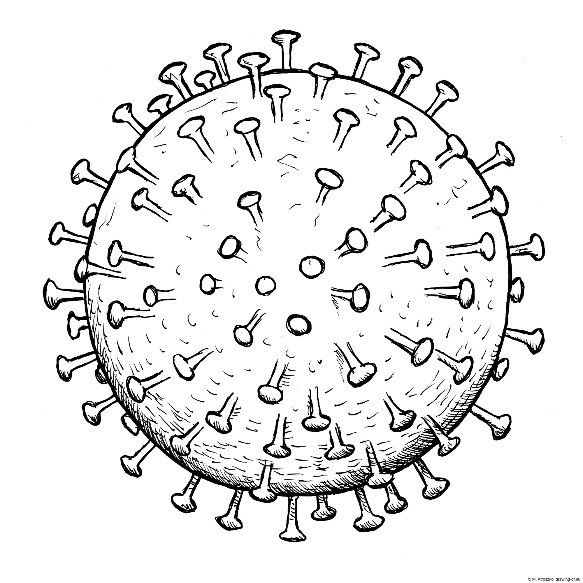 Coronavirus drawing