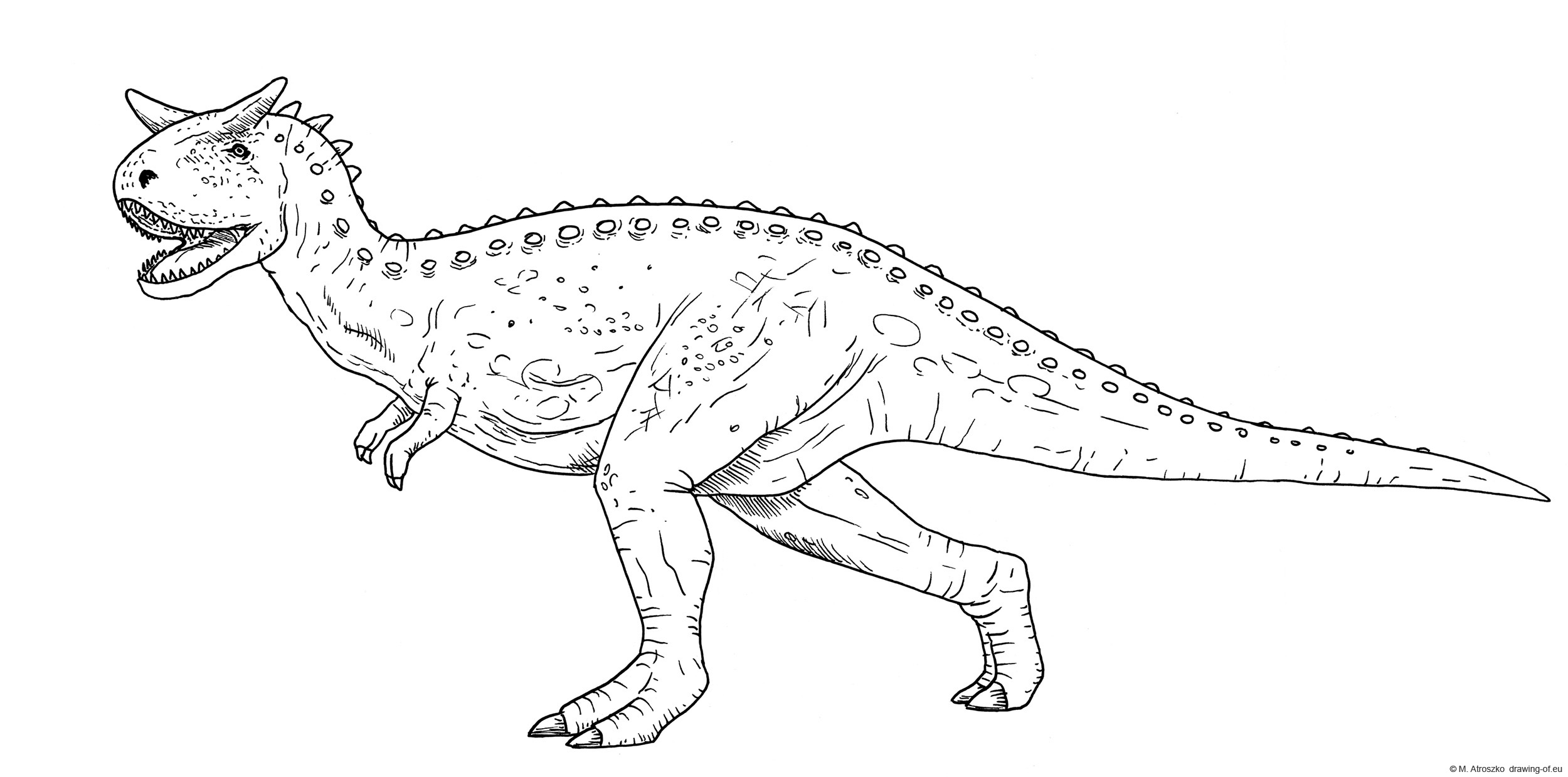Carnotaurus drawing