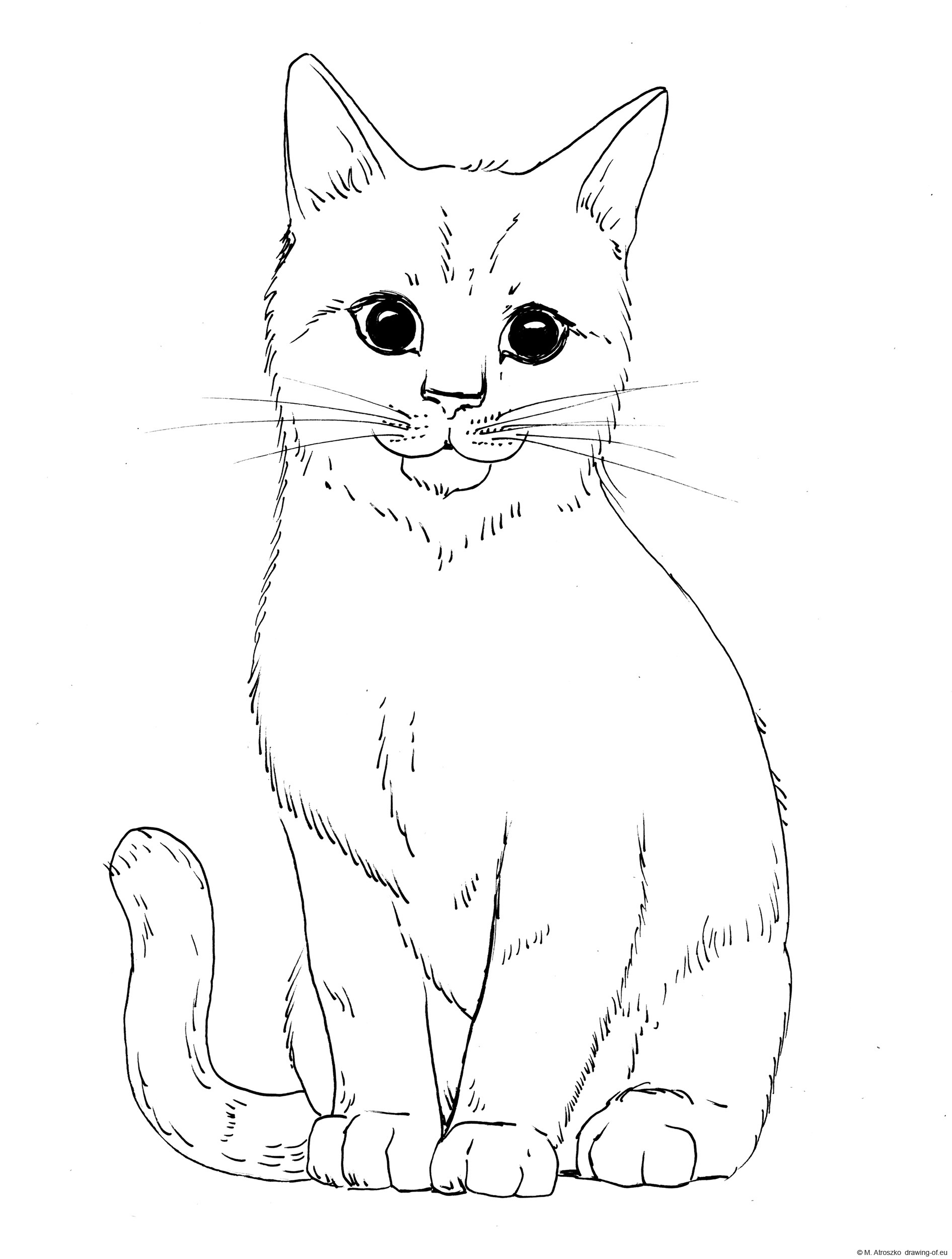 easy kitty cat drawing