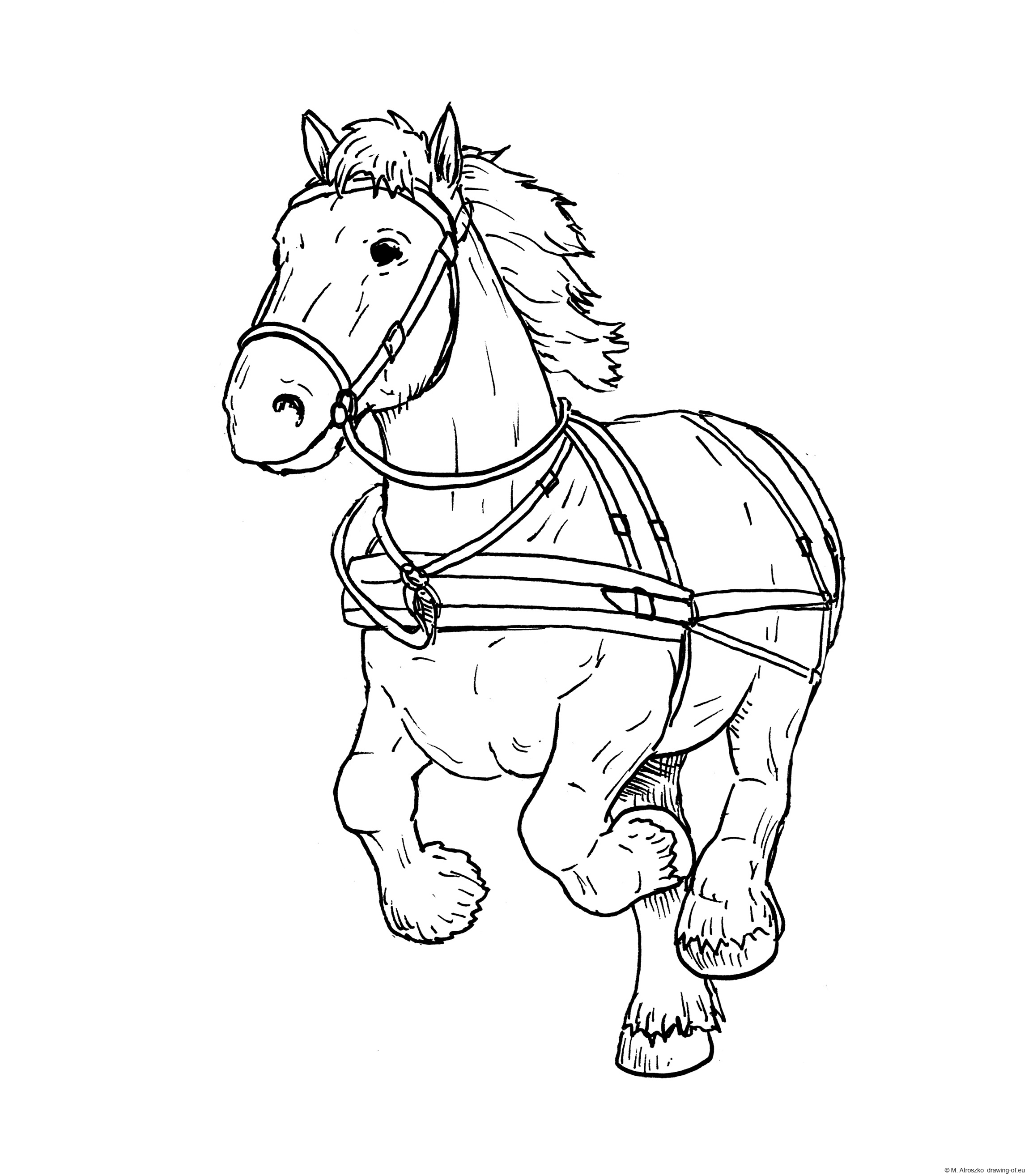Drawing of draft horse
