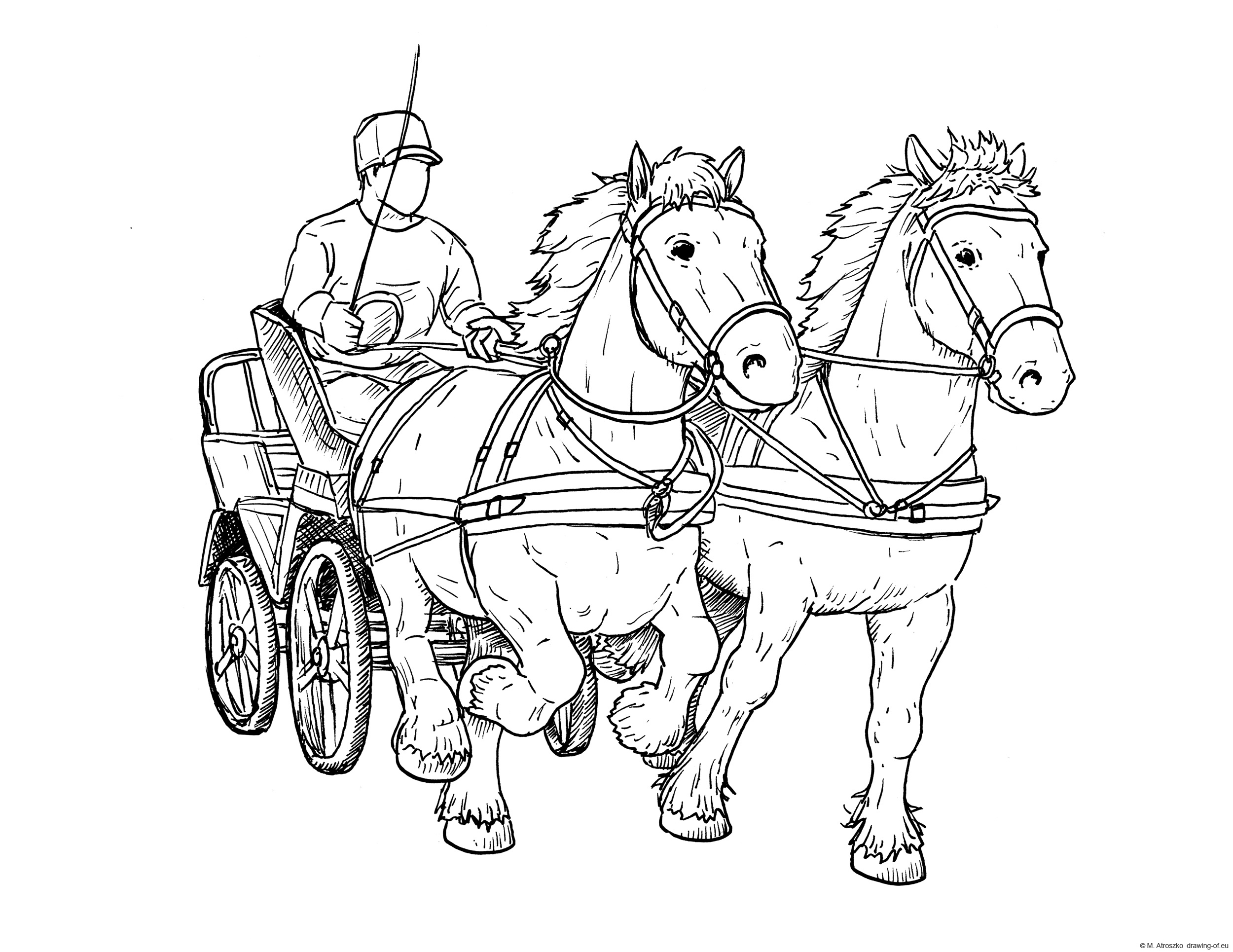 Draft horse carriage