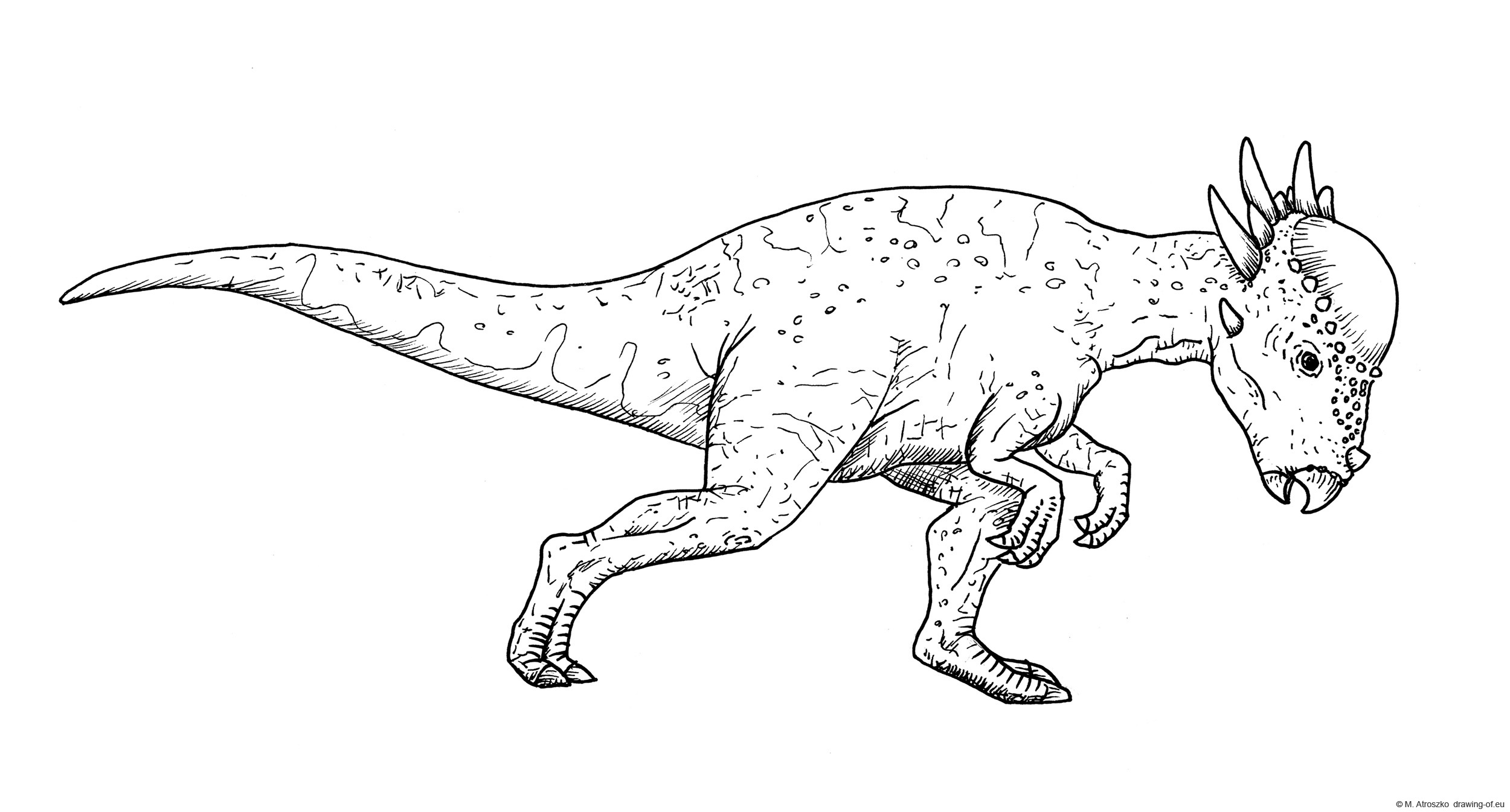 Stygimoloch drawing