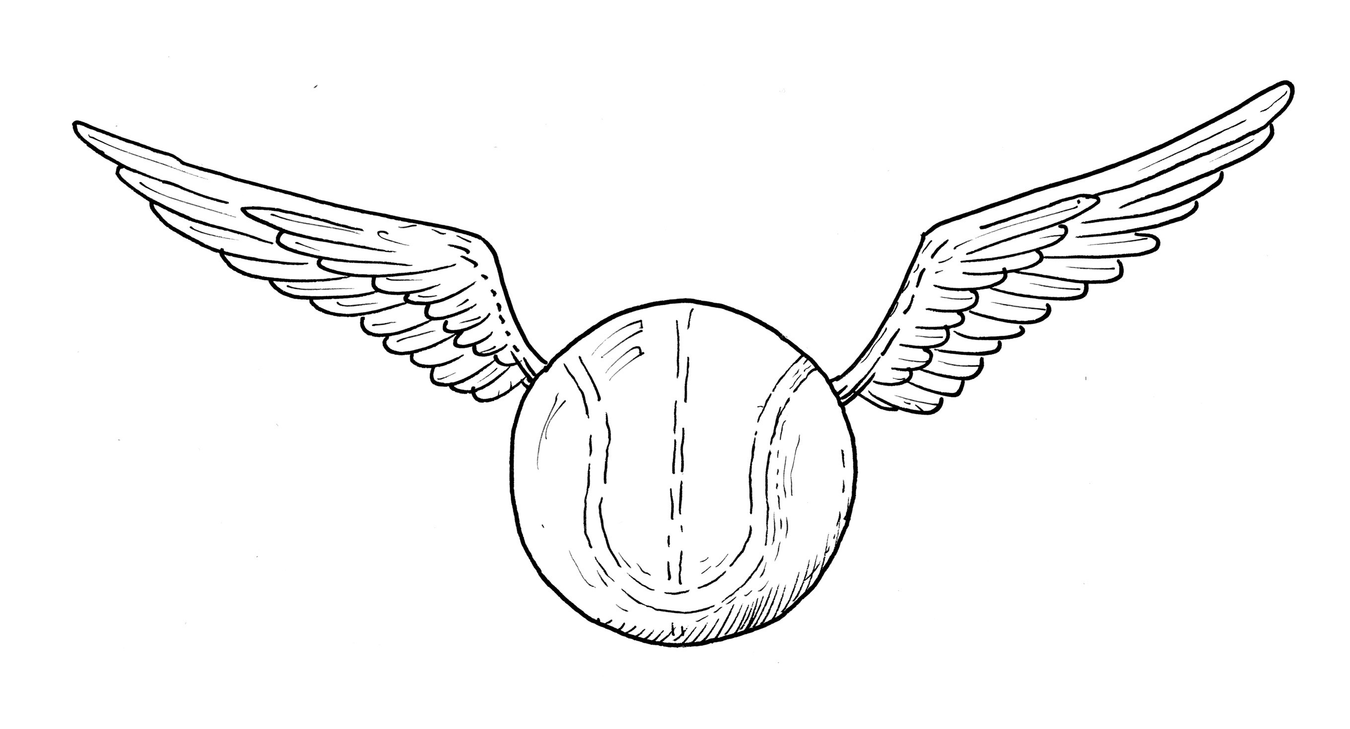 quidditch  winged ball draw 