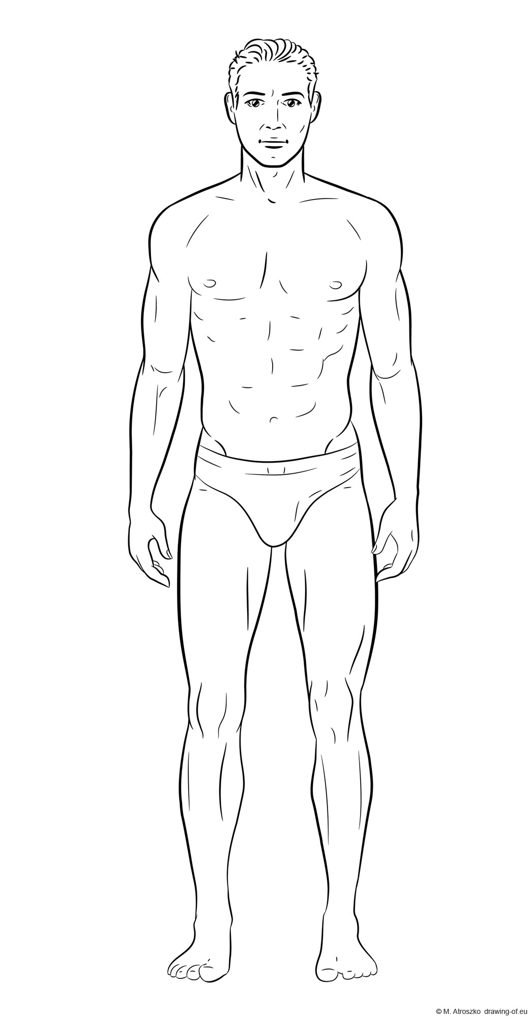 Drawing of male body