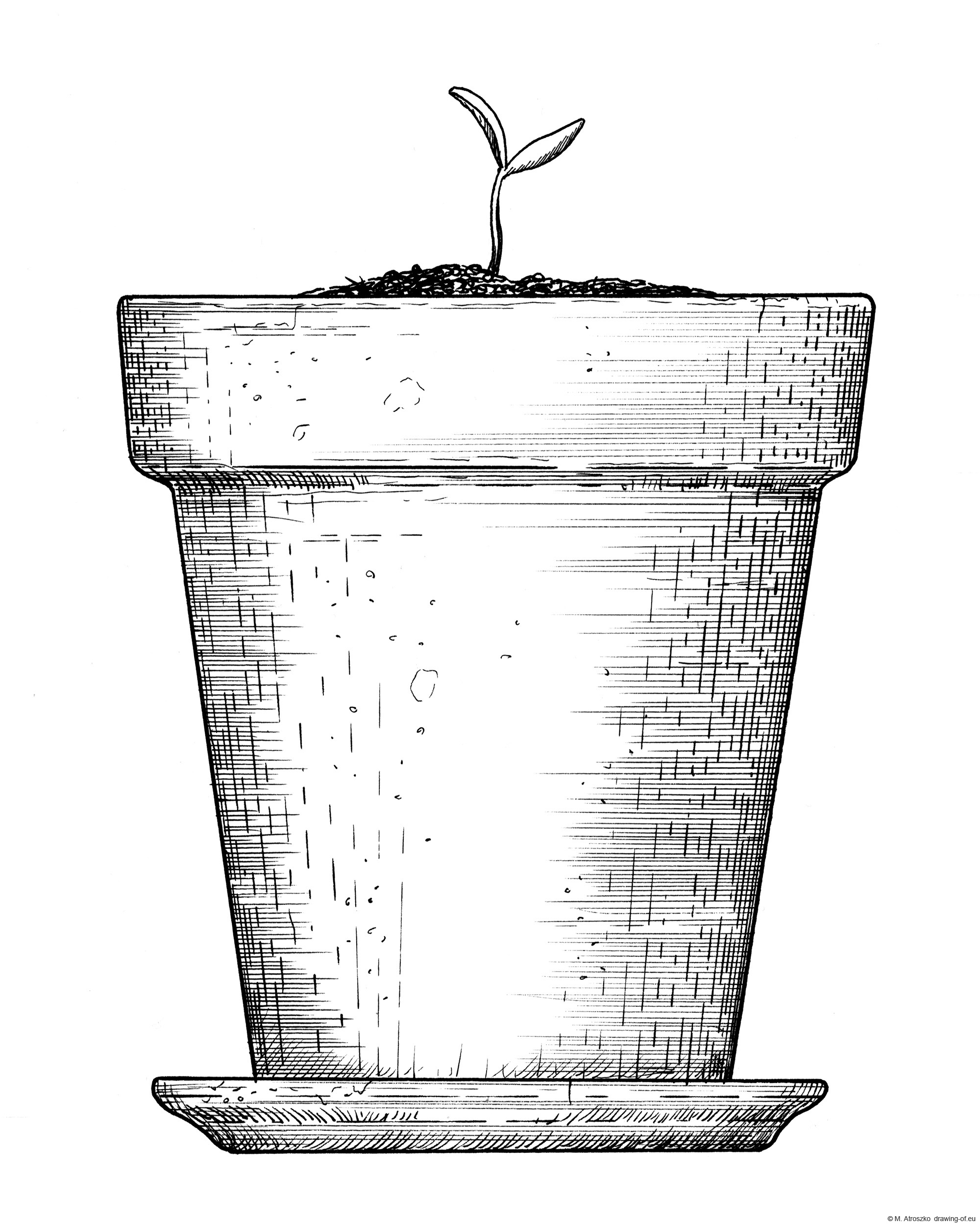 Drawing of plant in pot - sketch