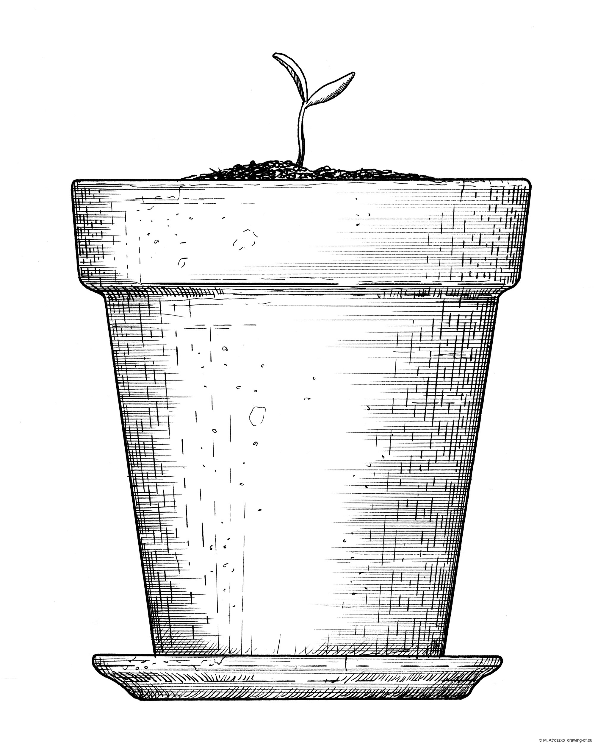 Drawing of plant in pot Line art illustrations