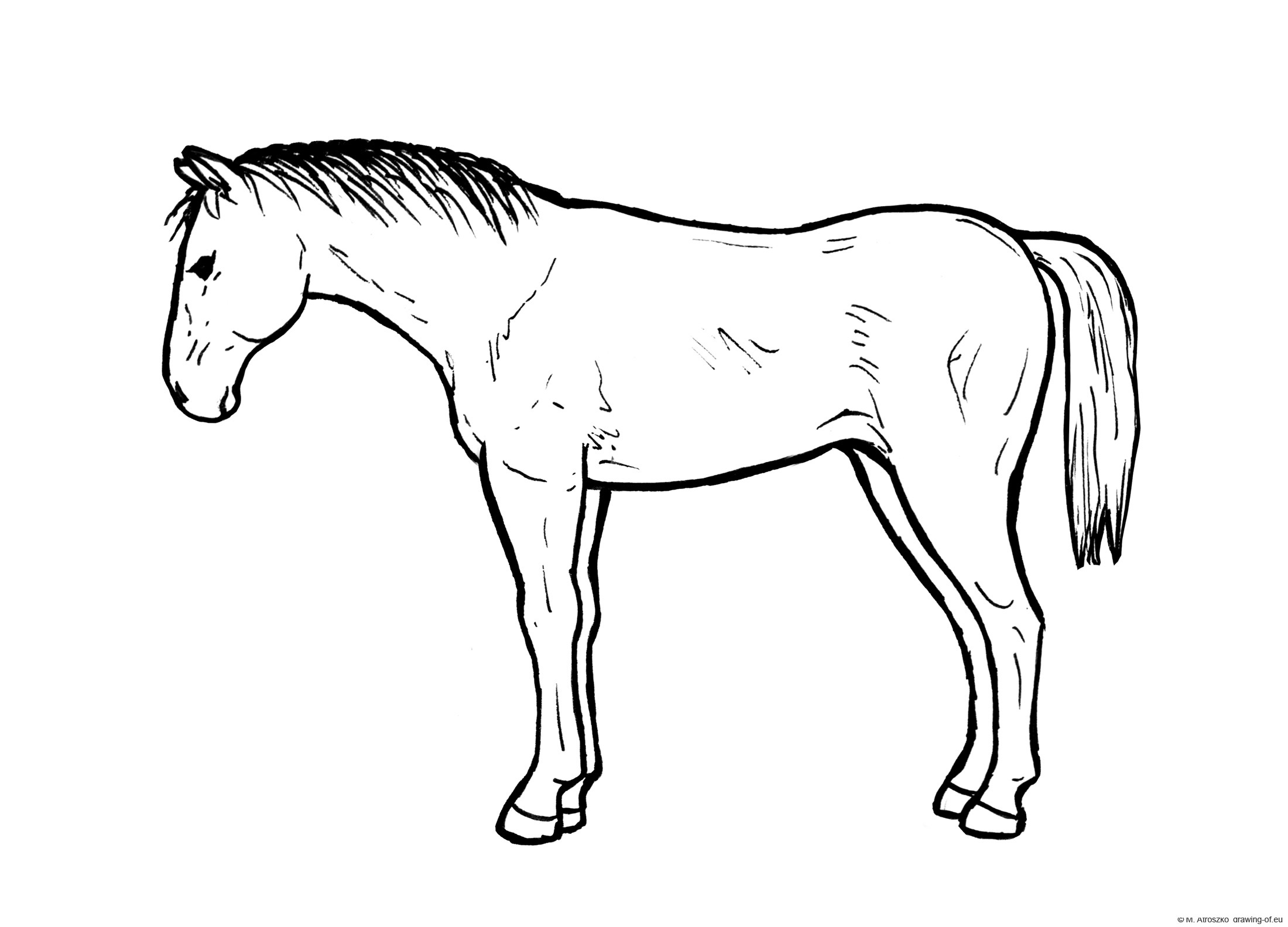 Standing horse draw