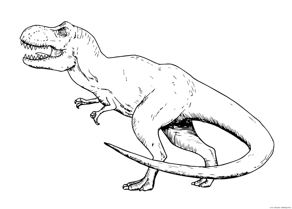 T-rex draw – Line art illustrations