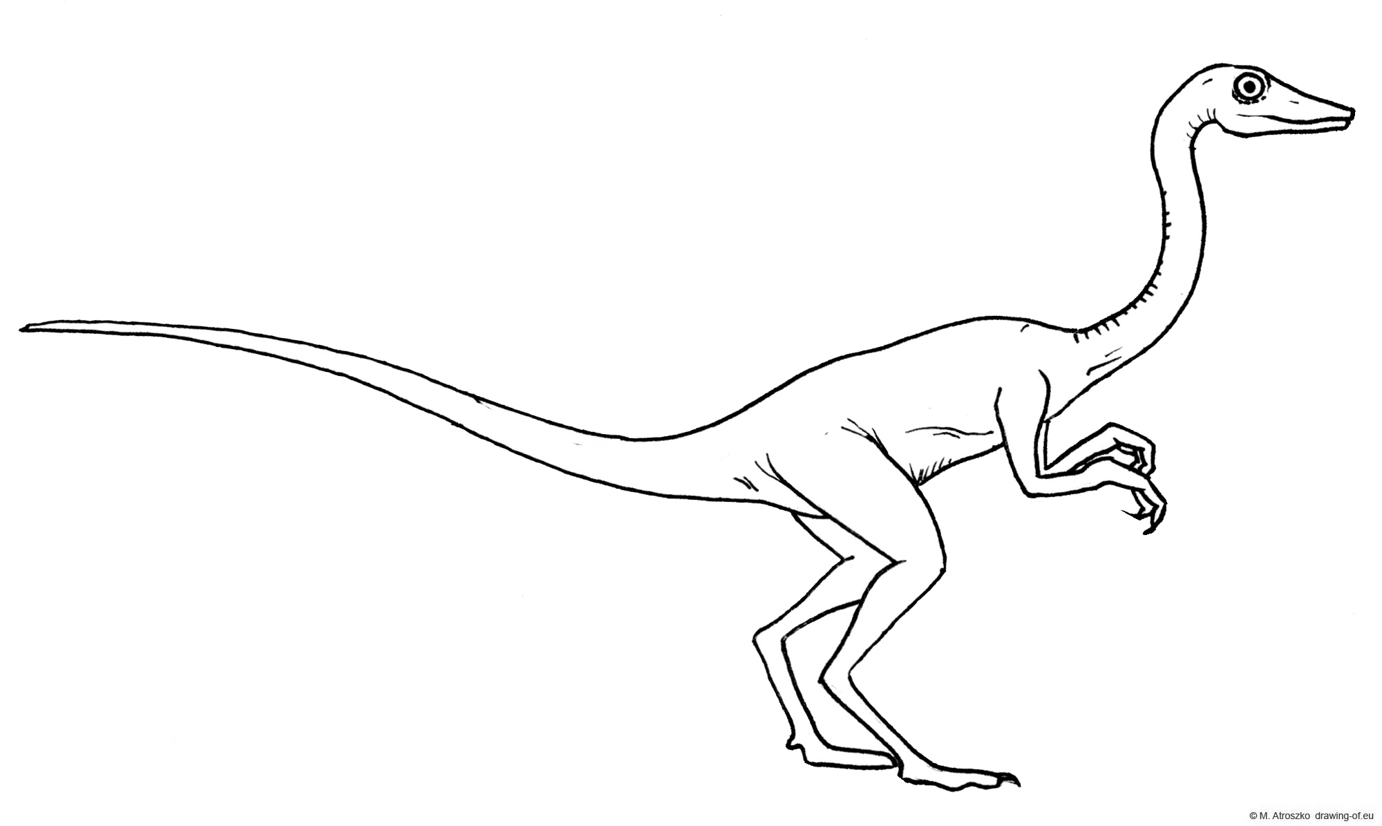 procompsognathus dinosaur