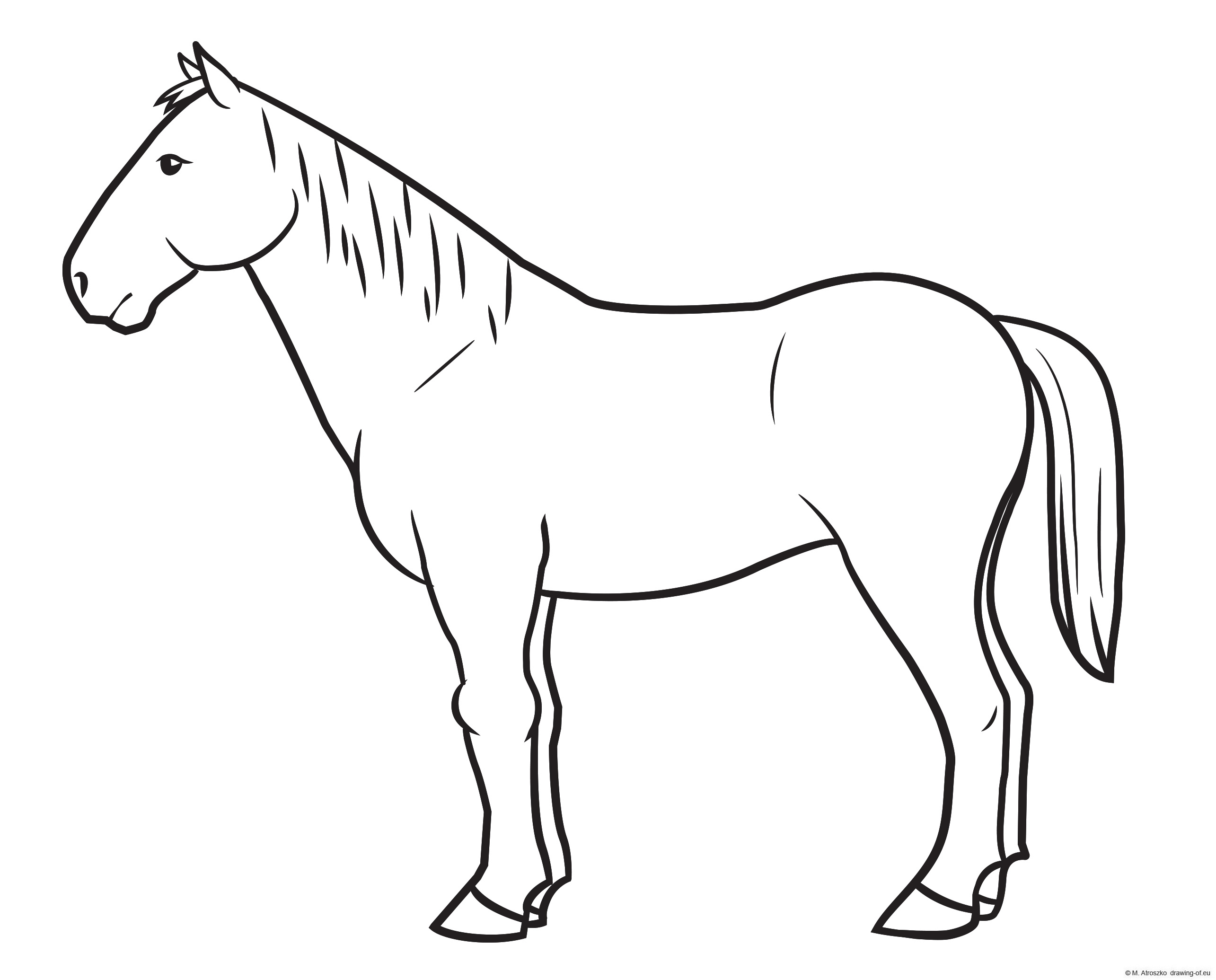 horse draw