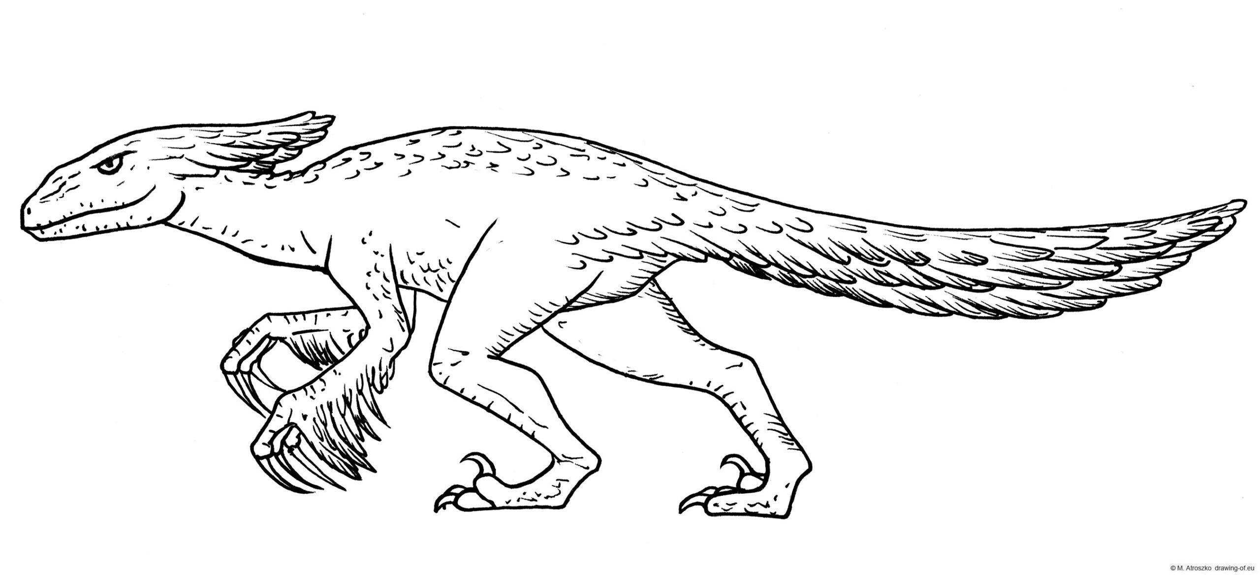 pyroraptor